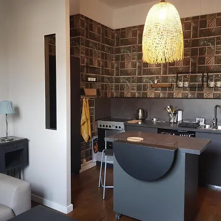 アパート De Style Dans L'hyper-centre De Laval ラヴァル